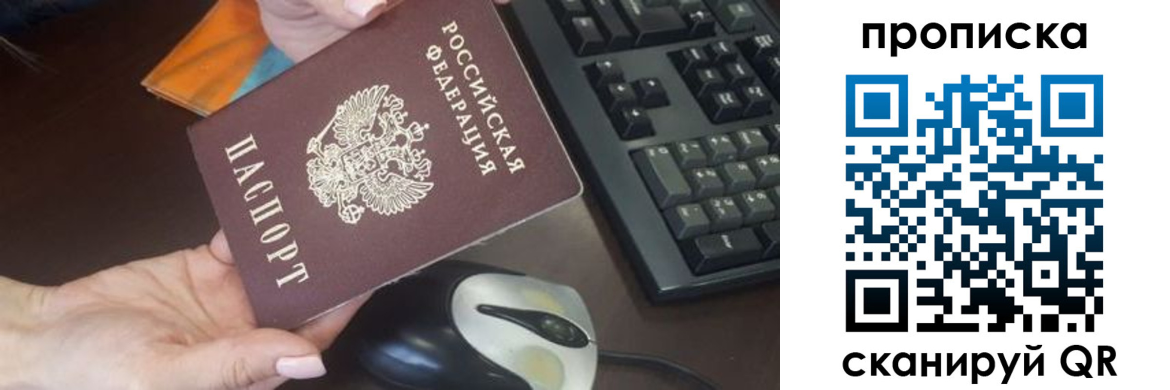 прописка гарантия в Скопине